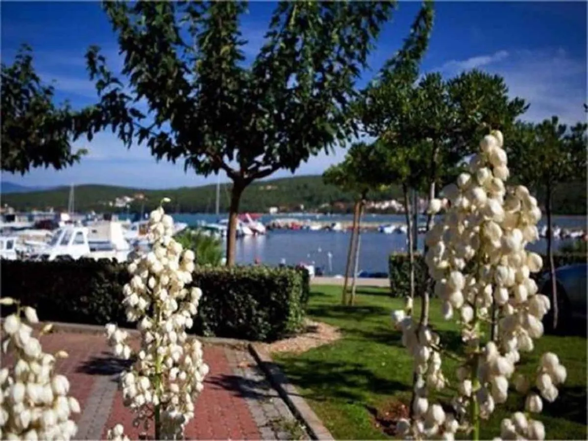 Apartments In Klimno, Dobrinj - Insel Krk 41813  Klimno